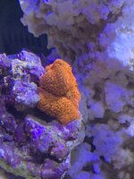 IMG_0162.jpeg