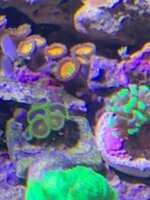 IMG_0168.jpeg
