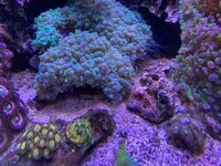 IMG_7582.jpg IMG_7582.jpg