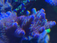 IMG_4256.jpeg