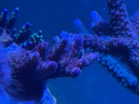 IMG_4265.jpeg