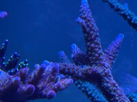 IMG_4281.jpeg