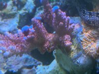IMG_4324.jpeg