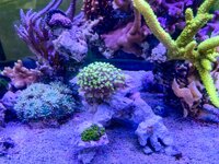 IMG_9355.jpeg IMG_9355.jpeg