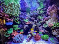 IMG_9362.jpeg