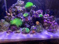 IMG_0377.jpeg
