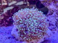 IMG_9375.jpeg