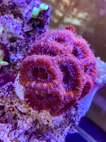 IMG_9374.jpeg