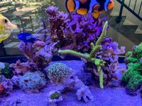 IMG_9371.jpeg