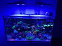 IMG_4151.jpg