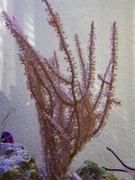 20250323_144915.jpg