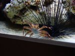 DSC00479.JPG