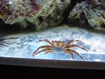 DSC00481.JPG