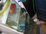 aqaurium 029.jpg