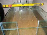 aqaurium 032.jpg