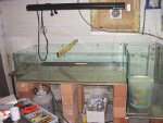 aqaurium 033.jpg