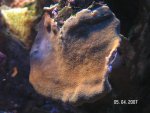20070405 2.jpg