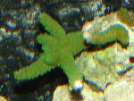 DSC00530.JPG