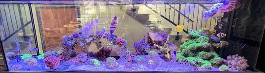 IMG_9405.jpeg