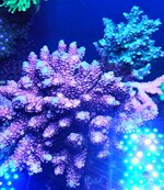 20250330_101217.jpg