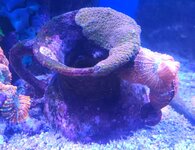 20250410_160618.jpg