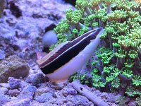 IMG_3792.jpeg