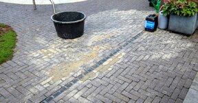 PXL_20250425_172536685~2.jpg