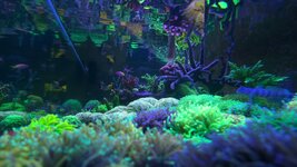 20250421_155538.jpg 20250421_155538.jpg