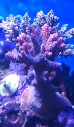 20250427_153021.jpg