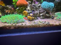 IMG_4610.jpg