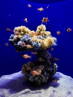 IMG_9625.jpeg
