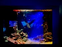 IMG_9627.jpeg