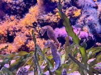 IMG_9630.jpeg