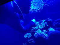 IMG_9644.jpeg