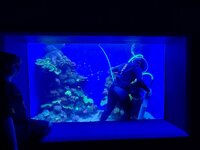 IMG_9646.jpeg