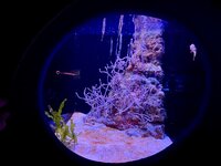 IMG_9649.jpeg