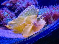 IMG_9651.jpeg