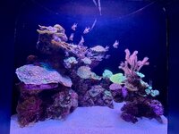 IMG_9662.jpeg