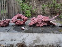 IMG_20250423_195540.jpg