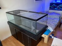 IMG_5248.jpg