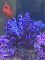 20250512_091541.jpg