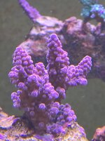 20250511_085832.jpg