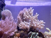 20250515_202805.jpg