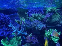 IMG_9741.jpeg