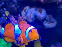 IMG_9745.jpeg