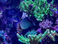 IMG_9751.jpeg