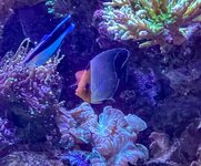 IMG_9755.jpeg