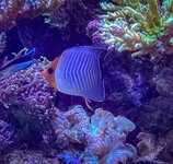 IMG_9756.jpeg