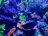 IMG_9753.jpeg
