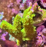 IMG_2716.jpeg